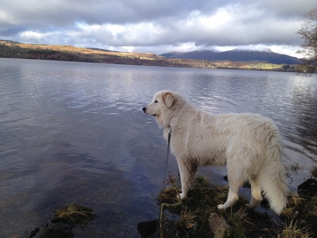 Lucrezia del Montelarco, called Luce, in Scotland